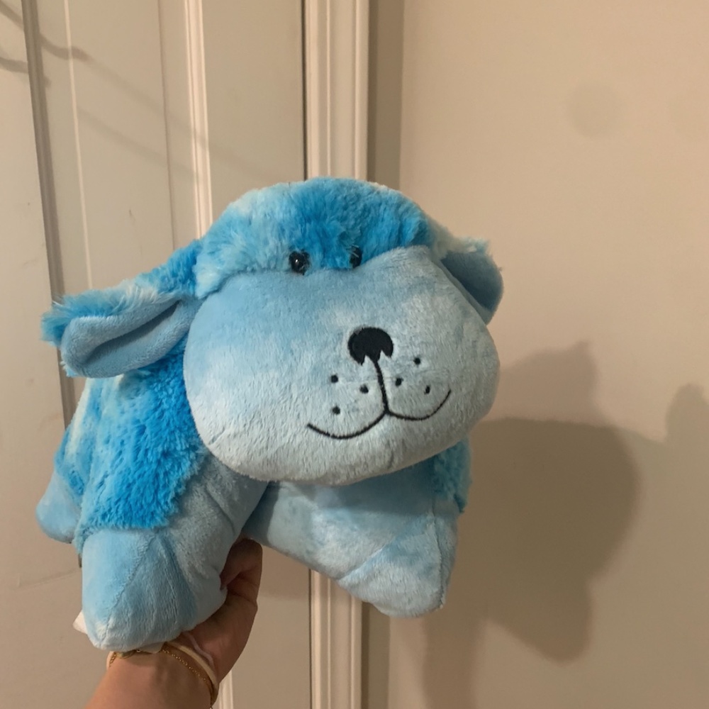 Light Up Pillow Pet Dog